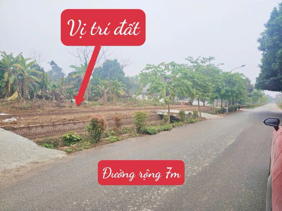 Đất Nền Lập Thạch 100m² Sổ Đỏ Full Thổ Cư - Vị Trí Vàng Ven KCN