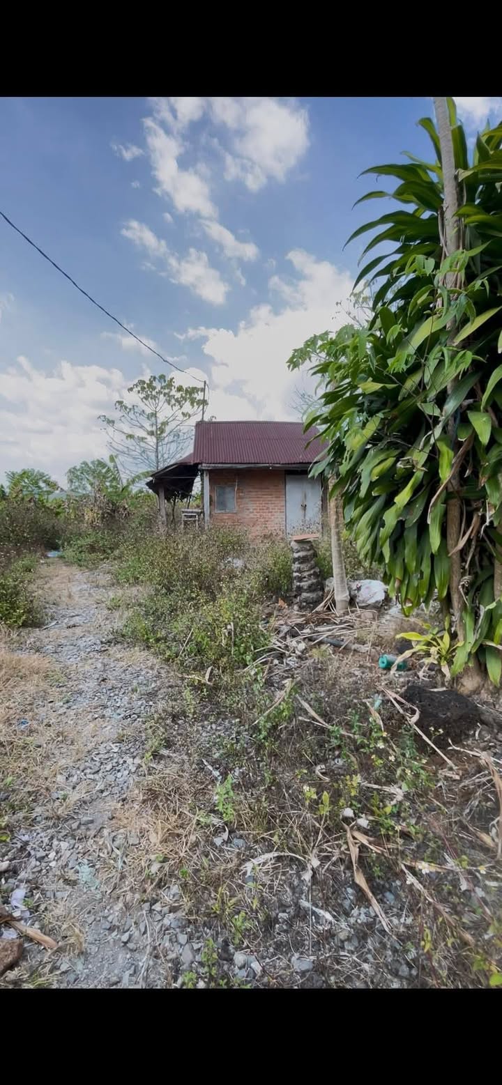 Đất Vườn Đồng Nai 10.073m² - Sổ Đỏ, Giá 3.2 Tỷ, Thích Hợp Trồng Trọt