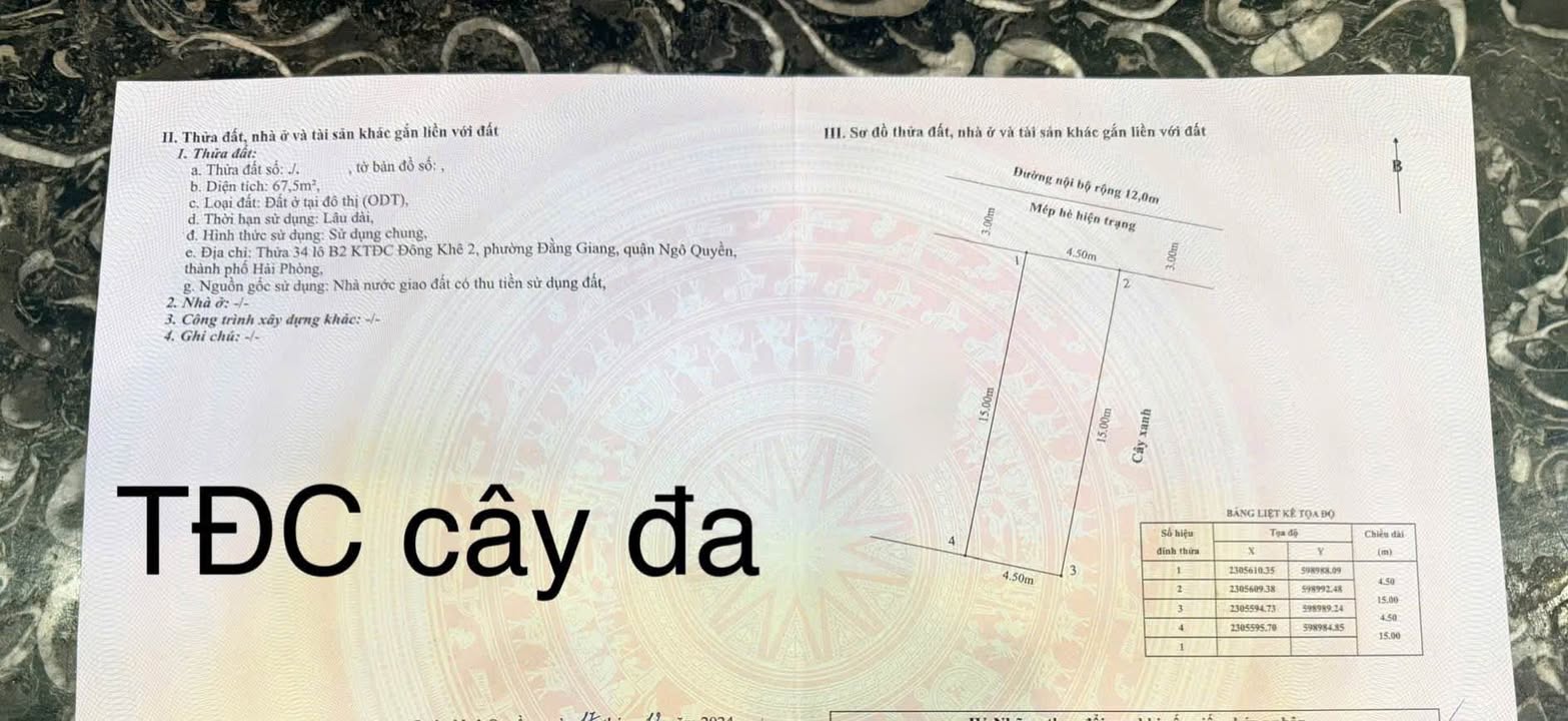 Đất nền TDC Cây Đa 67m² - Lô góc siêu thoáng, hạ tầng hoàn thiện!