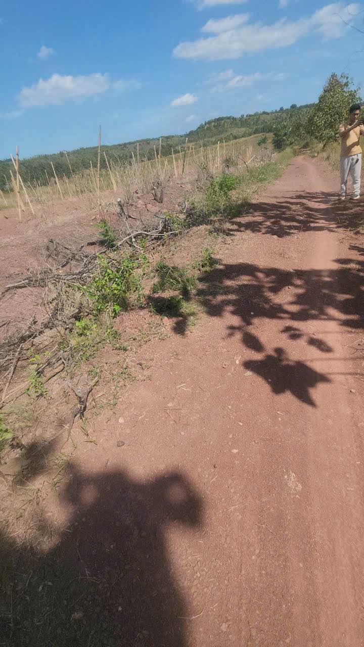 Đất Nền Ea Wer, Buôn Đôn 1152m² - Tiềm năng tăng giá!