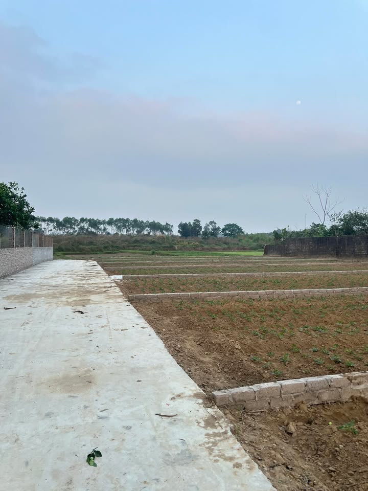 Đất nền Hiệp Hòa 70m² xã Xuân Cẩm - Tiềm năng tăng giá vượt trội!