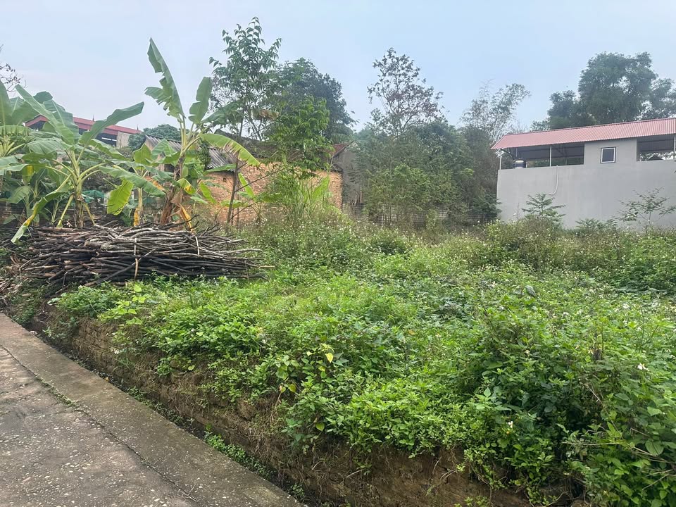 Đất nền 110m² Xã Tân Hiệp, Yên Thế, Bắc Giang - Tiềm năng tăng giá!