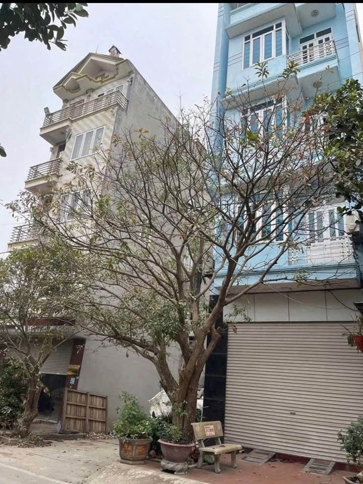 Đất Nền 87.3m² Vị Trí Vàng Như Quỳnh, Văn Lâm, Hưng Yên - Cơ Hội Đầu Tư Sinh Lời