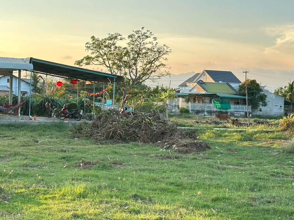 Đất nền Phú Hài Phan Thiết 100m² - Sổ đỏ chính chủ!