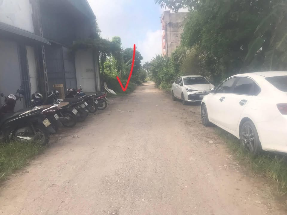 Đất nền Thành phố Nam Định 125m² - Tiềm năng tăng giá vượt trội!