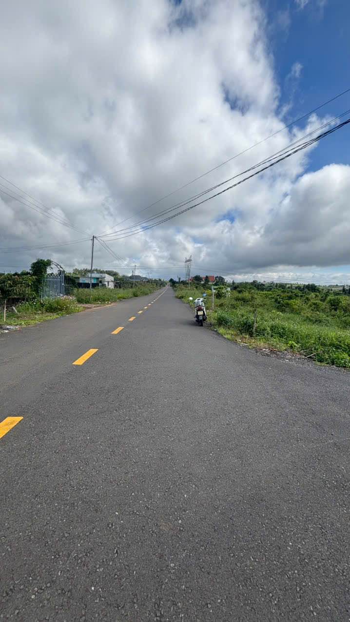 Đất nền Nguyễn Trãi Bảo Lộc 194m² giá 2.5 tỷ - Xây dựng tự do!