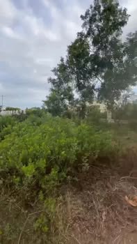 Đất Cam Lâm 1700m² - Sổ Đỏ Full Thổ Cư, Vuông Vức 58m - 5.5 Tỷ