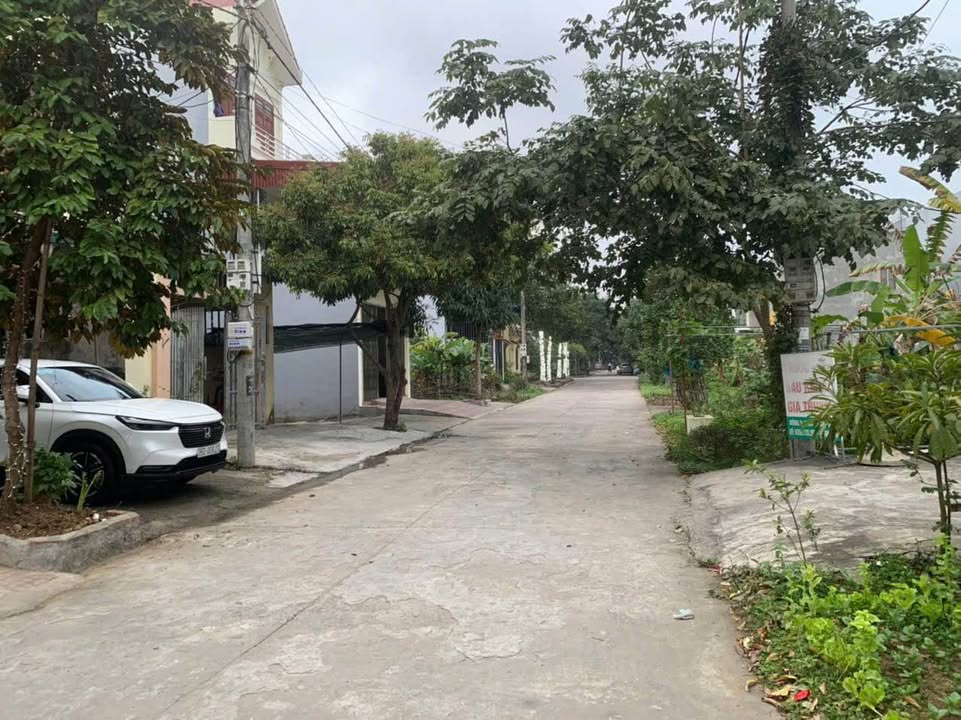 Đất nền Khu Vườn Am Ninh Sơn 100m² - Tiềm năng tăng giá!