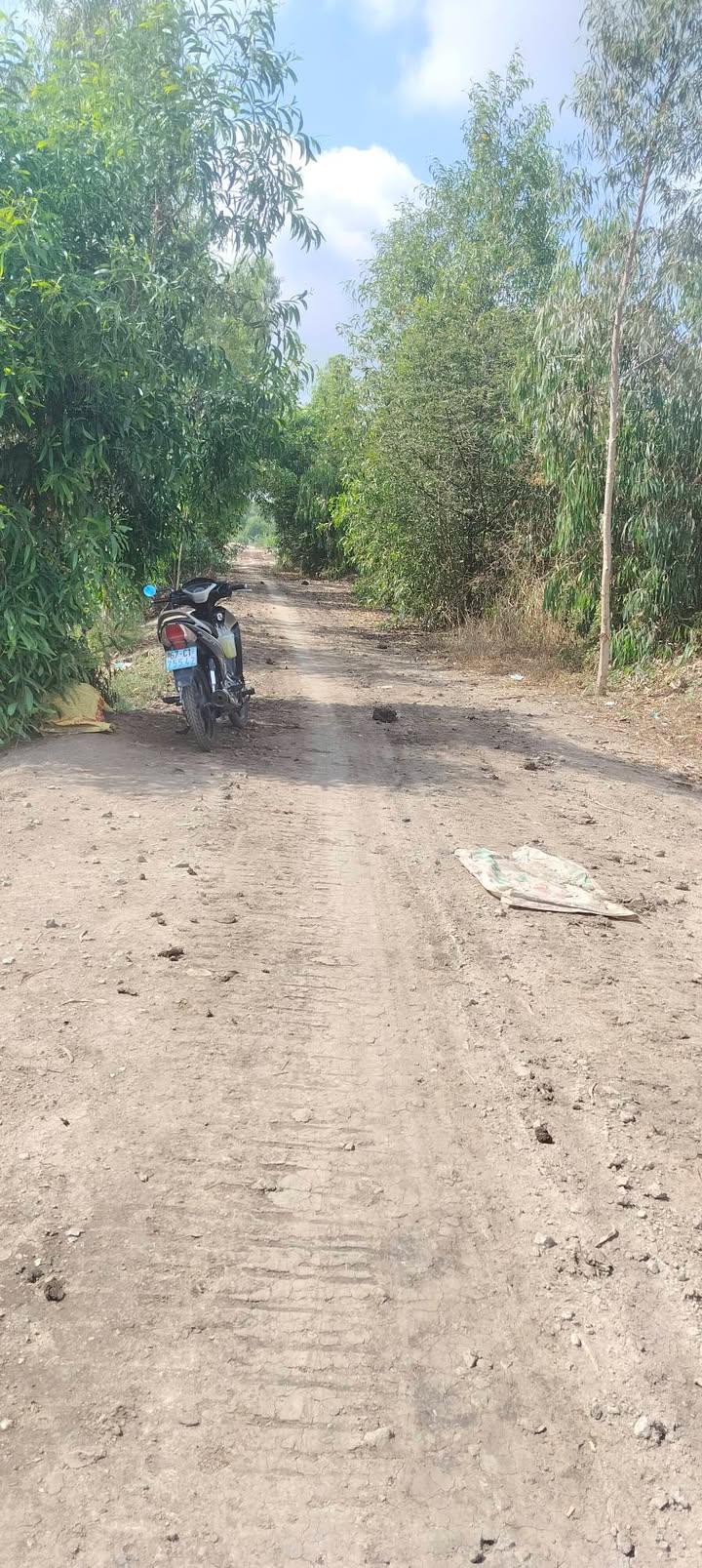 Đất Ruộng 66000m² Tà Đảnh, Long Xuyên - Sổ đỏ chính chủ!