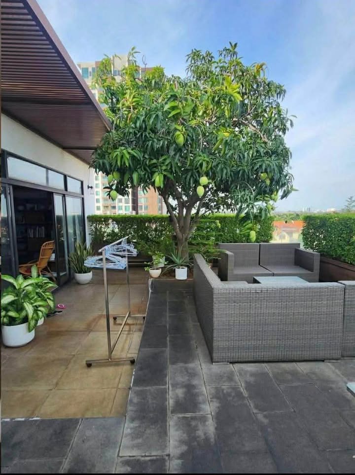 Penthouse Thảo Điền 120m² giá 25 triệu - View đẹp, sân thượng riêng tư!