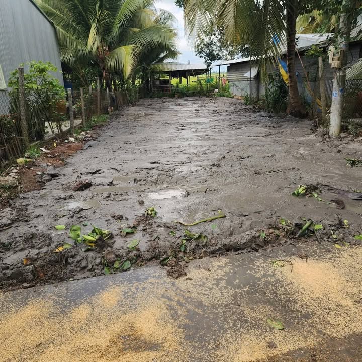 Đất nền Châu Thành 180m² chỉ 350 triệu - Đường to ô tô