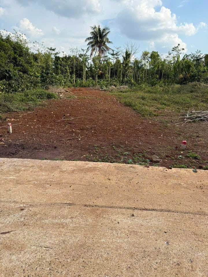 Mặt Tiền Kinh Doanh Phường Tân An, BMT - 183m² Giá 1.99 Tỷ