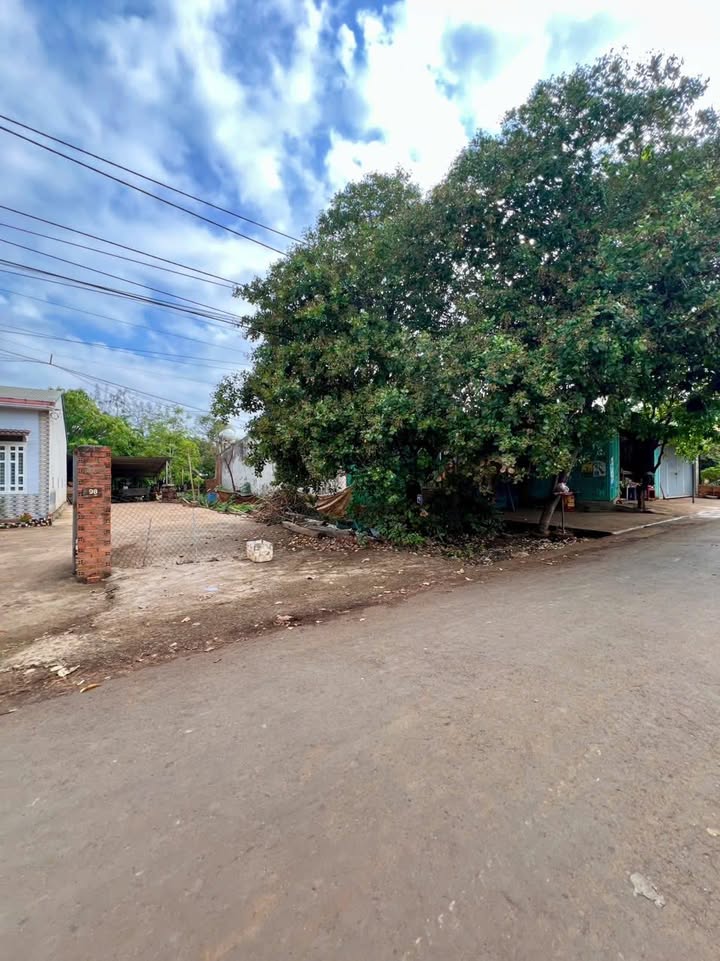 Đất mặt tiền Bùi Thiện Ngộ Thành Nhất 250m² giá 1.65 tỷ - Vị trí kinh doanh!