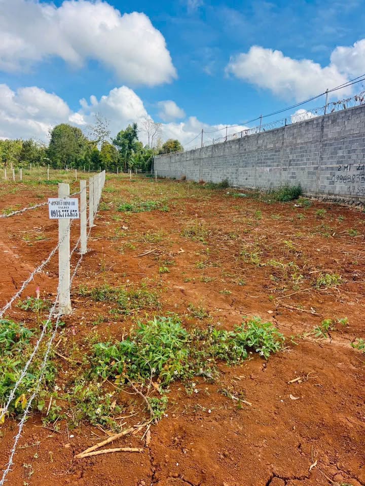 Đất nền Buôn Ma Thuột 500m² - Tiềm năng tăng giá, mặt tiền đẹp!