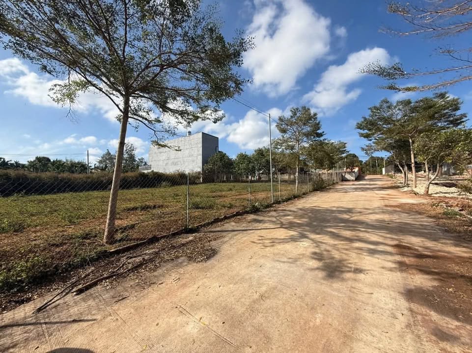 Đất nền Khu Him Lam Tân An 110m² - Sổ đỏ sẵn, vị trí đắc địa!