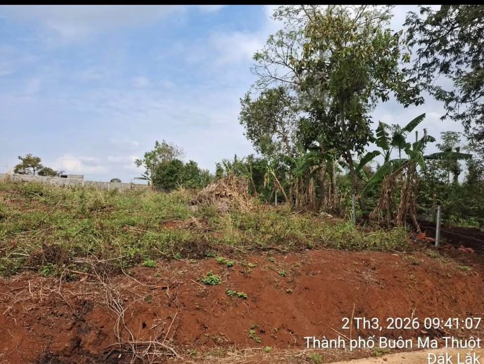 Đất Vườn Buôn Ma Thuột 1346m² - Giá 3.3 Tỷ, Sẵn Sàng Xây Nhà Nghỉ Dưỡng