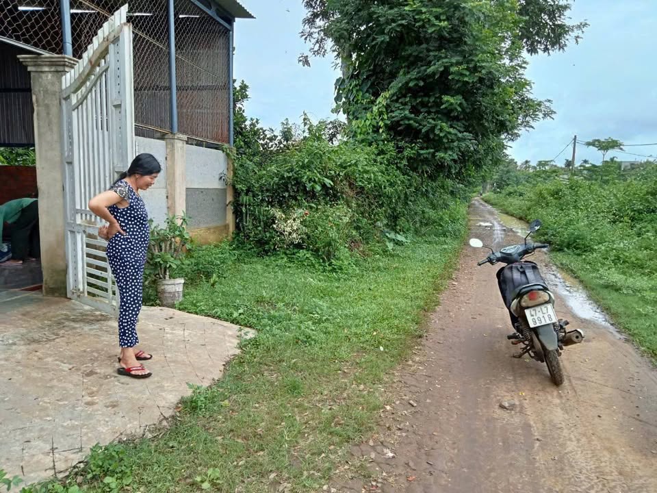 Đất nền Hòa Đông Krông Pắc 125m² giá 900 triệu - Đường to ô tô!