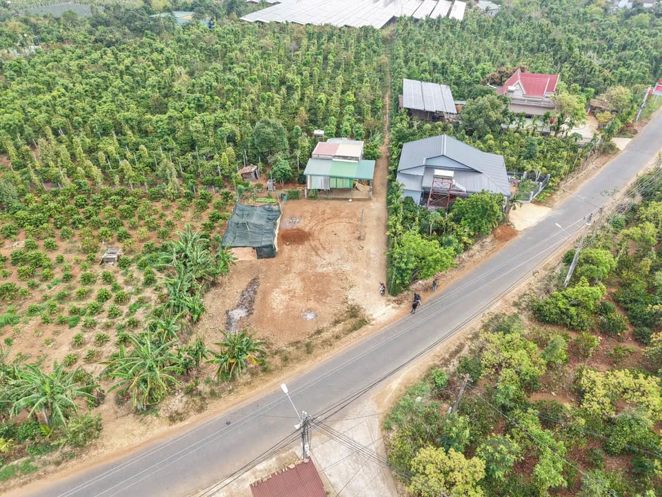 Đất nền Buôn Ma Thuột 230m² - Lô góc kinh doanh, sổ đỏ sẵn!