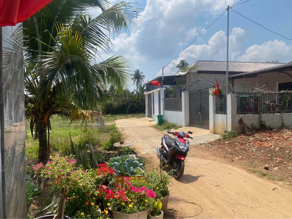 Đất Nền Ea Tam BMT 220m² - Đường To Ô Tô, Pháp Lý Rõ Ràng