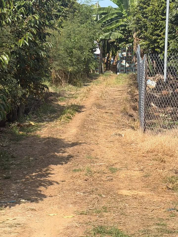 Đất vườn Tân Phú 1440m² - Giá tốt, đầu tư dài hạn!