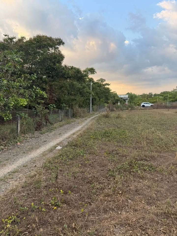 Đất nền 130m² Đồng Nai - Giá 280 triệu, Sổ đỏ sẵn sàng