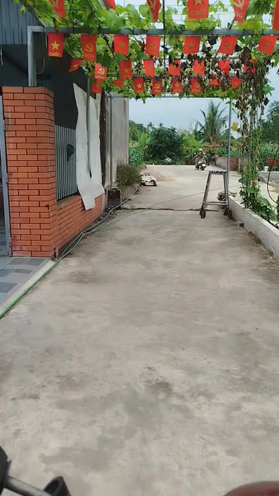 Bán đất 111m² An Lão, Hải Phòng - Ngõ ô tô, giá hơn 800 triệu