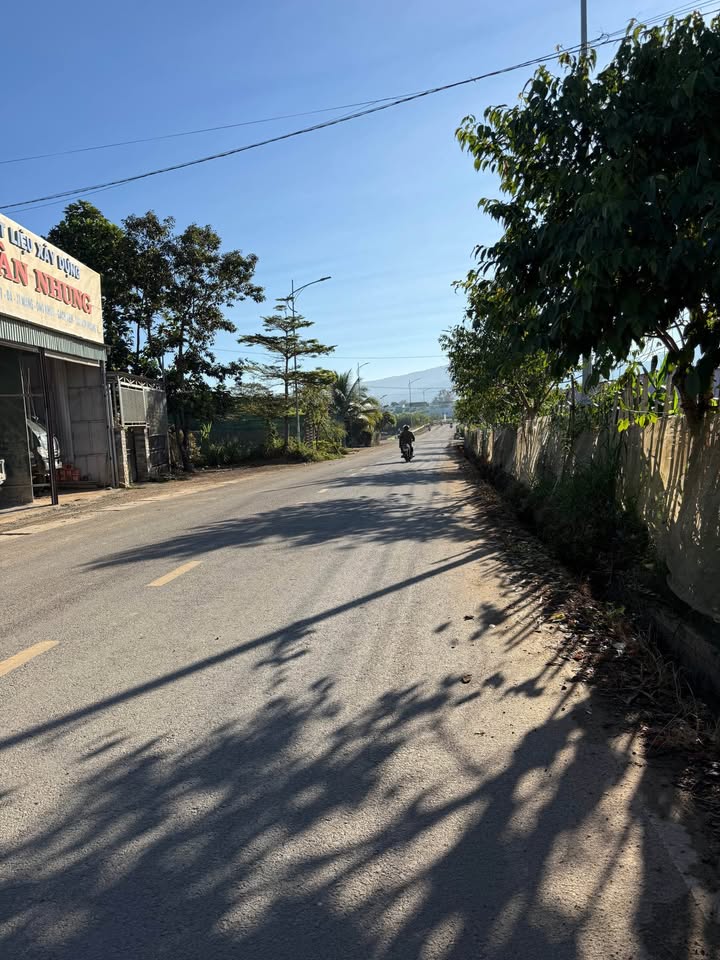 Đất nền Phú Hội, Đức Trọng 213m² - Tiềm năng tăng giá, Sổ đỏ chính chủ!