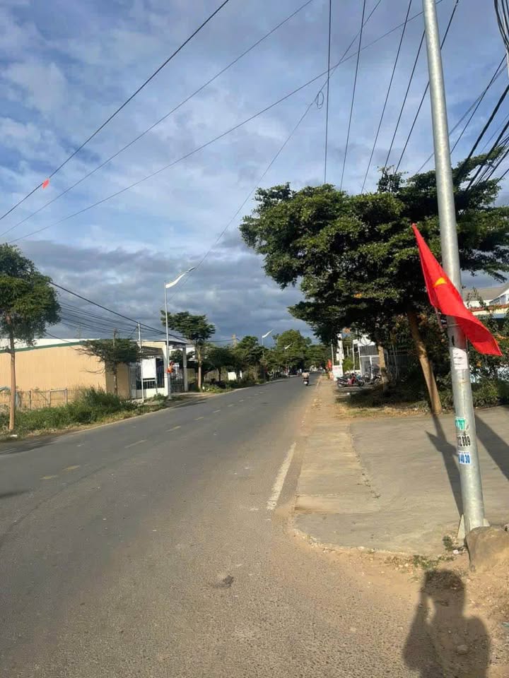 Đất nền Phú Hội, Đức Trọng 115m² từ 1.2 tỷ - Tiềm năng tăng giá vượt trội!