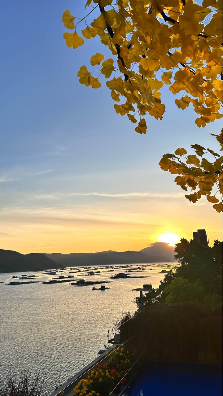 Đất nền KĐT Cổ Mã Vạn Ninh 417m² - Tiềm năng tăng giá vượt trội!