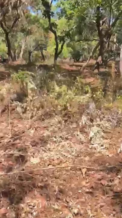 Đất nền Phước Sơn Bù Đăng 1.4ha giá 1.7 tỷ - Sổ đỏ chính chủ