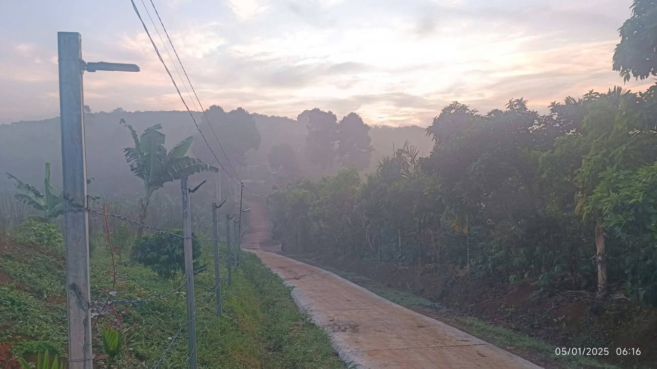 Đất Vườn 4000m² Lộc Đức, Bảo Lâm - Sổ Đỏ, Ô Tô Tận Vườn