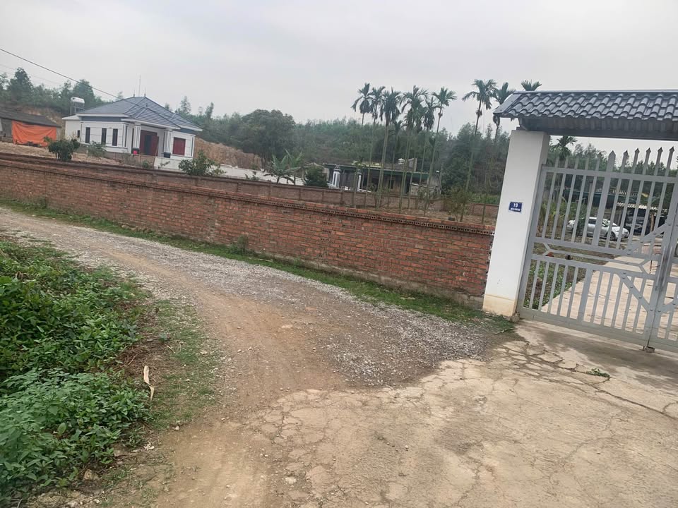 Đất Vườn 170m² Phường Văn Đức, Chí Linh - Giá Tốt 700 Triệu