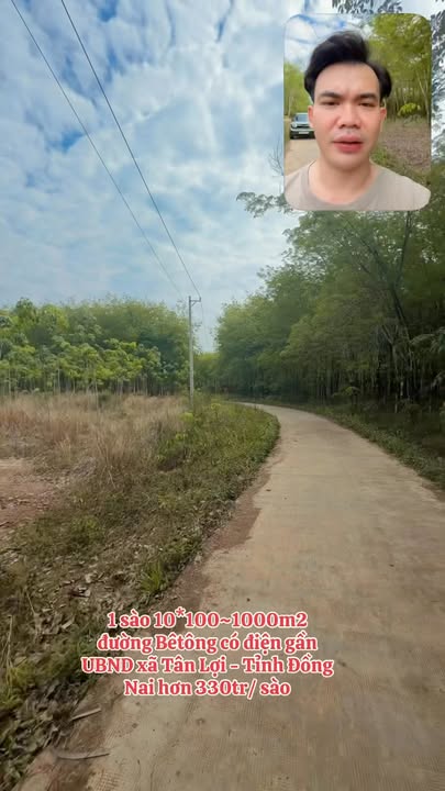 Đất nền Xã Tân Lợi 1000m² - Giá hấp dẫn, sổ đỏ chính chủ!