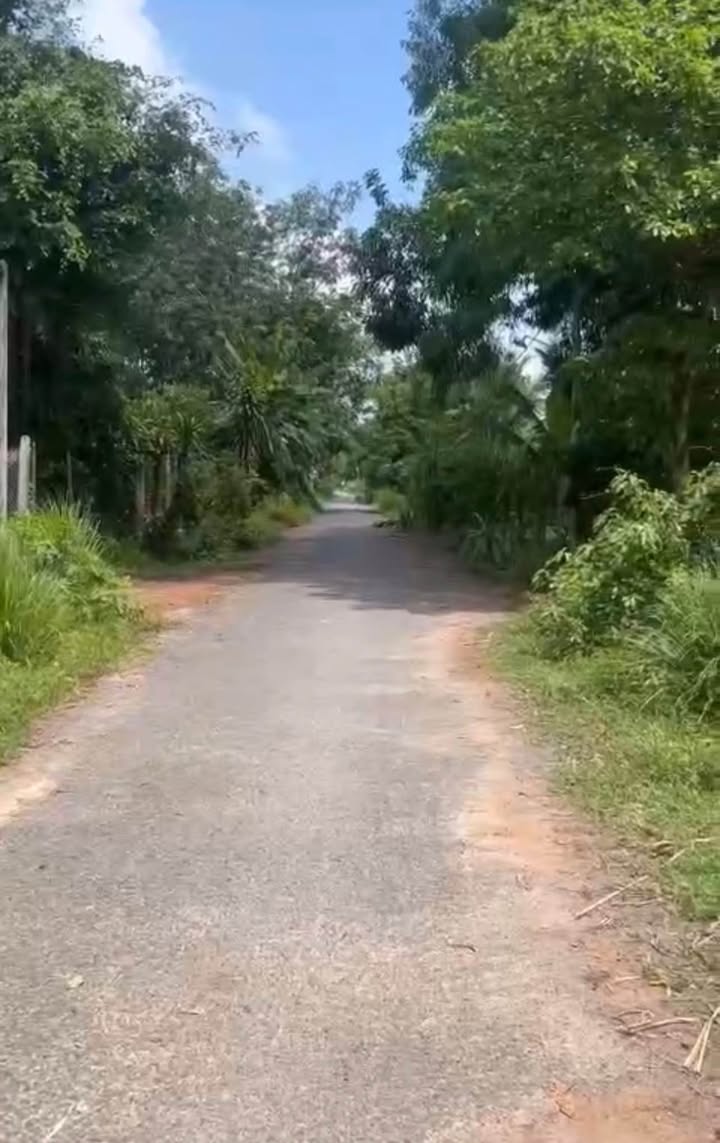 Đất nền Gò Dầu, Tây Ninh 2860m² - Sổ đỏ chính chủ, giá ngộp!