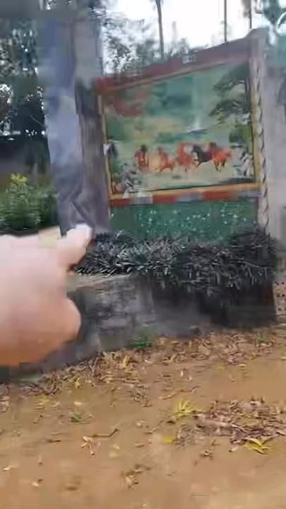 Đất Nền Phù Ninh 820m² - Chính Chủ Chốt Giá 2 Tỷ Tốt Nhất