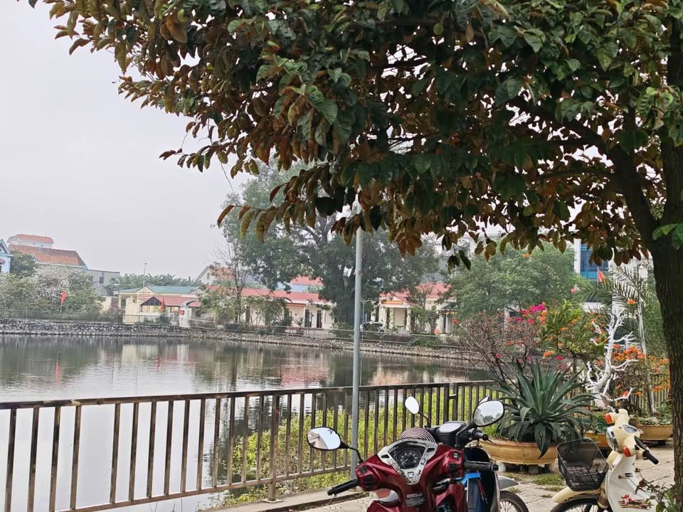 Đất Vĩnh Lại, Lâm Thao 120m² - Sổ Đỏ, Vỉa Hè, View Hồ - Giá 4.2 Tỷ