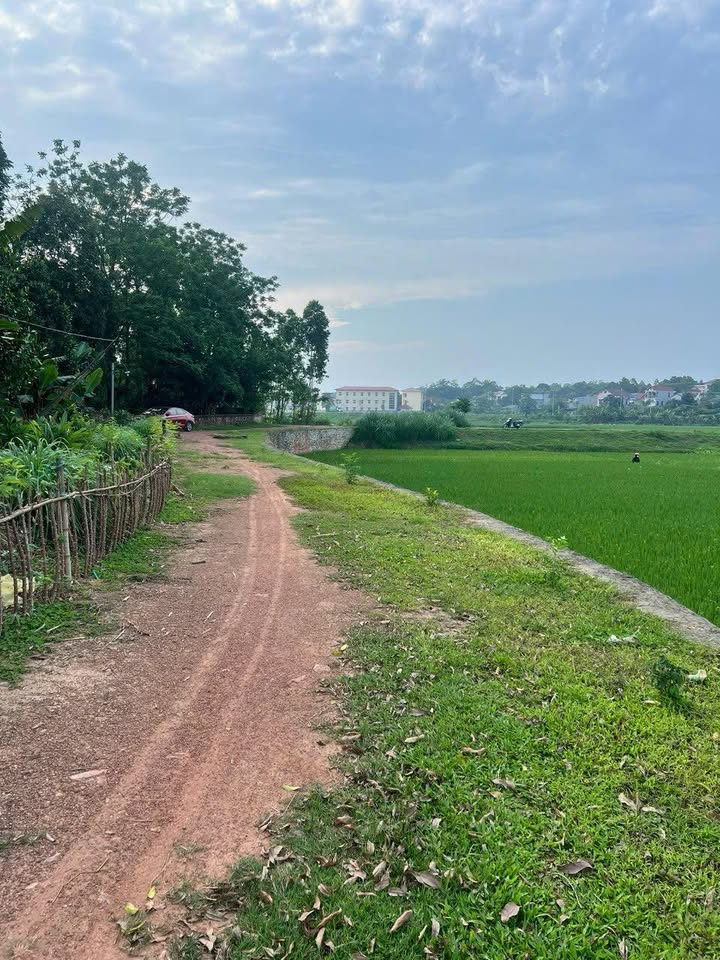 Đất nền Việt Trì 210m² – Sổ đỏ chính chủ, view cánh đồng!