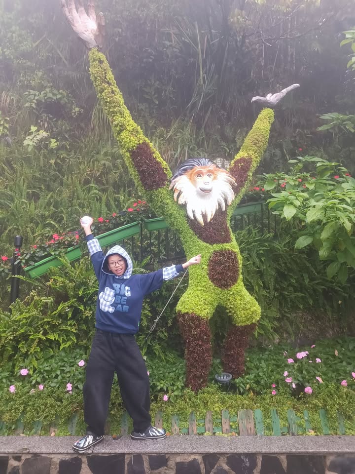 Đất nền Đường Quang Trung, Thái Nguyên 84m² - Sổ đỏ chính chủ!