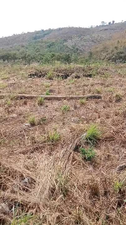 Đất nền Đắk Wil 4,5ha 750 triệu - Giá tốt hiếm có, bán nhanh