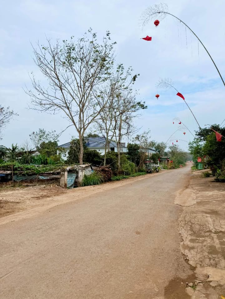 Đất nền Nghĩa Đàn, Nghệ An 216m² - Tiềm năng tăng giá