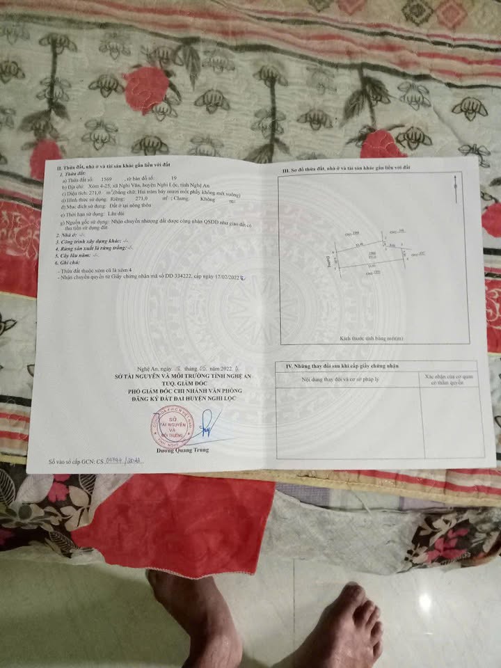 Đất nền Thị trấn Thái Hoà 271m² - Sổ đỏ chính chủ, xây dựng tự do!