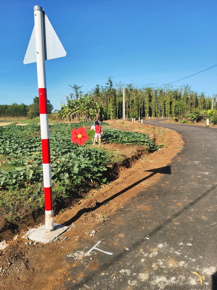 Lô Đất Nền Châu Đức 1033m² - Tiềm năng tăng giá vượt trội!