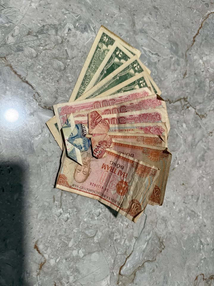 Đất nền Xã Phú Lộc, Tân Phú, Đồng Nai 2880m² - Pháp lý rõ ràng!