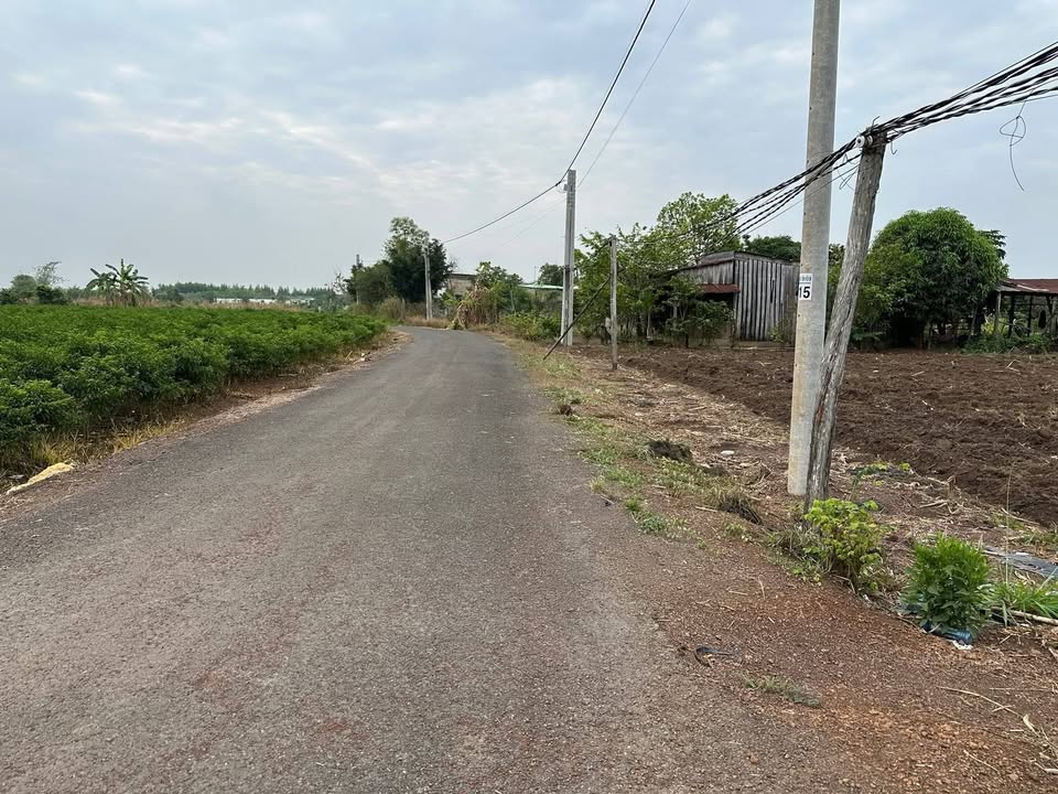 Đất nền Bù Đốp 1000m² - Giá đầu tư tốt, mặt tiền đường nhựa!