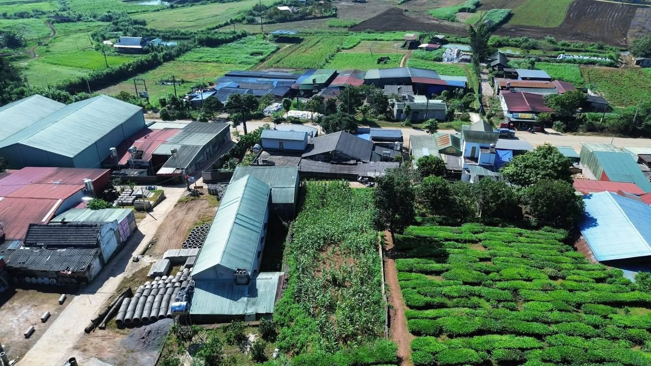 Đất nền Vân Sơn Mộc Châu 500m² - Tiềm năng tăng giá vượt trội!