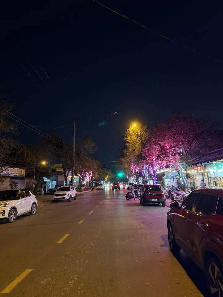 Mặt tiền kinh doanh Đặng Dung, Đông Hà 180m² - Giá 2.45 tỷ