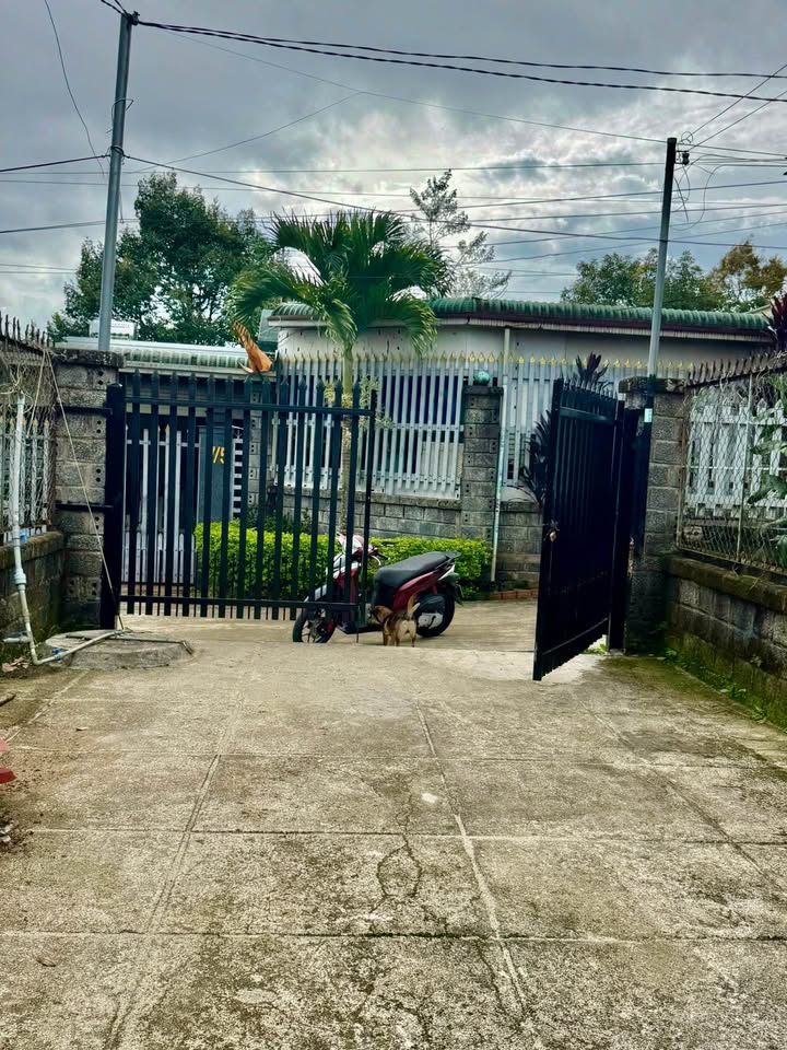 Cho thuê nhà hẻm Nguyễn Đức Cảnh 2PN giá 4 triệu - Ô tô vào tận nhà!