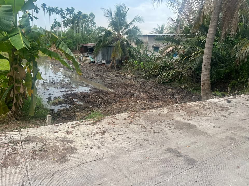 Đất nền Đức Hòa 400m² - Sổ đỏ chính chủ, thổ cư 100%!