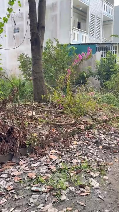 Đất nền KDC 135 Bến Lức 80m² 2 tỷ - Tiềm năng tăng giá vượt trội!