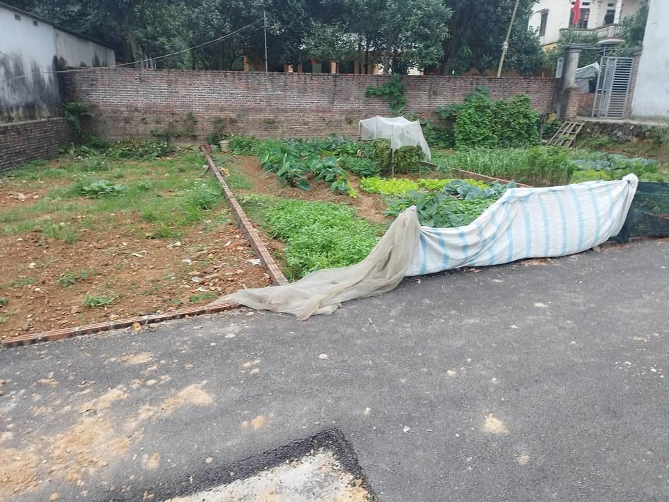 Đất nền Phật Tích 76m² giá 1.6 tỷ - Sổ hồng sẵn, ô tô vào tận đất!